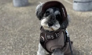 A.Mさん 仕事風景1